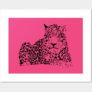 Leopard Spots Posters and Art